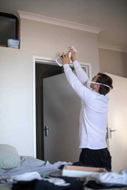 Best Mold Damage Restoration  in Hurricane, WV