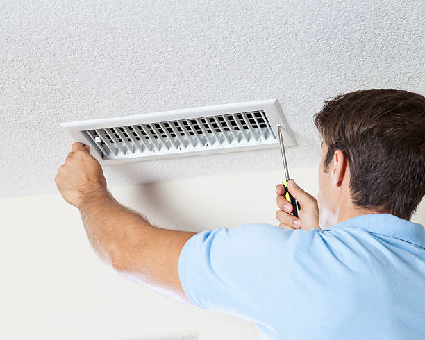 Best Mold Prevention Services  in Hurricane, WV