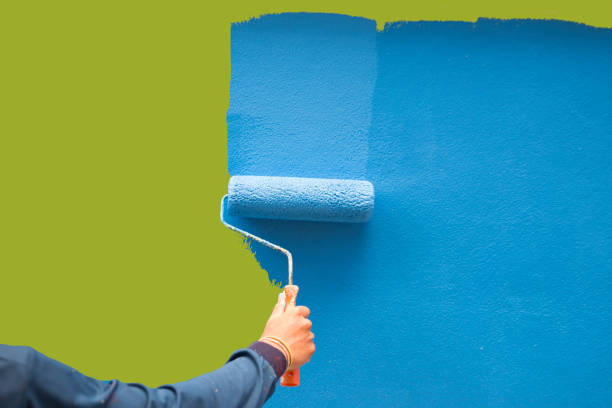 Best Attic Mold Removal  in Hurricane, WV
